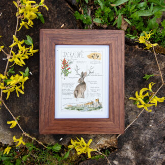 wide face WNY black walnut wood frame for portraits and prints