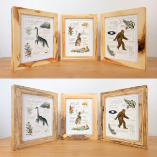 Boxelder frames with lizzy gass prints